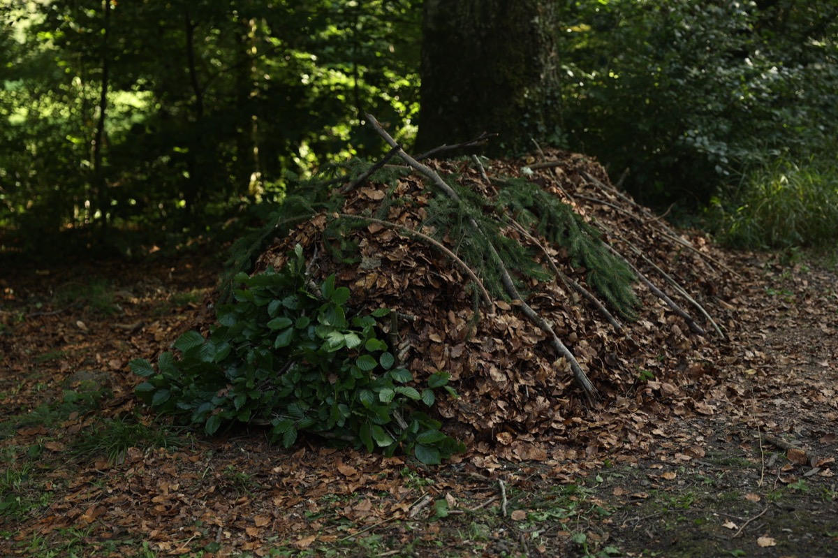 Laubhütte im Wald